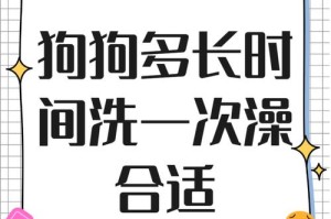 狗狗排便频率与健康关系揭秘（狗狗排便频率是健康指标之一）