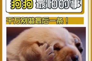 狗狗为什么害怕鞭炮？（揭秘狗狗害怕鞭炮的原因及应对方法）
