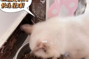 猫咪怀孕期间可以补充益生菌吗？（解答猫咪怀孕期间的营养问题，益生菌不是问题）