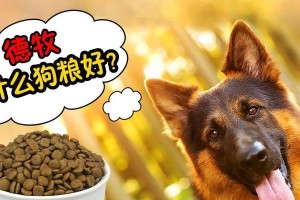 德国牧羊犬六个月的饮食要点（德国牧羊犬六个月的饮食安排及注意事项）