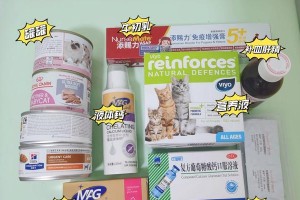 母猫产后喂养要注意什么？（关于母猫产后饮食的重要信息）