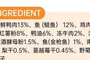 金毛犬的饮食需求与照顾技巧（了解金毛犬的饮食需求，让你的宠物健康快乐）