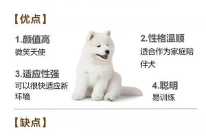 萨摩耶的价格与饲养方法（一只可爱的萨摩耶究竟要多少钱？如何正确饲养？）