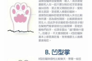 小猫爪子烂了怎么办？（使用何种药物进行治疗？）