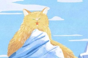 韩国猫咪插画高清大放送（可爱萌猫一秒钟抓住你的心，轻松欣赏美丽插画）