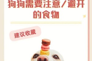 新手养狗注意事项（为你的新成员提供良好的家庭环境）