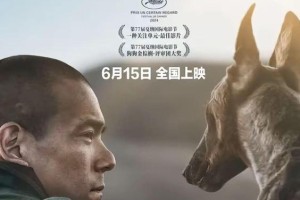 狗狗电影世界的精彩故事（探索人类与狗狗之间深厚情感的电影作品）