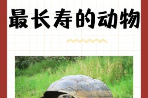 保护动物，共建美丽家园（探讨涉嫌售卖保护动物背后的重要问题）