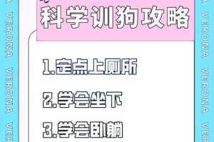 狗狗如何训练去厕所大小便？（新手主人养狗技巧，教你有效训练你的狗狗）