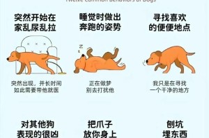 从交小狗到装死，需要多长时间？（探索训练小狗装死的时间成本与效果）