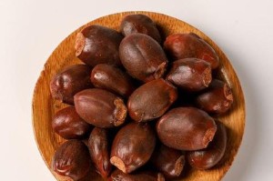泰迪狗的健康饮食（了解适合泰迪狗食用的水果种类及注意事项）