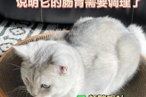 猫咪食用辣物后的应对方法（辣食对猫咪肠胃的危害及如何预防）