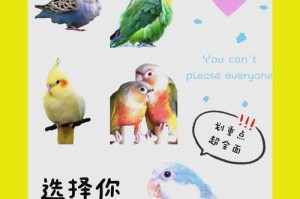 如何培养亲人的鹦鹉？（掌握这3点，让你的鹦鹉成为你的好朋友！）