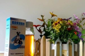 治疗狗狗皮肤病的有效药物（选择合适的药物帮助狗狗恢复健康）