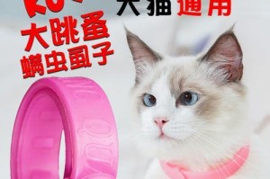 狗用除蚤项圈真的有效吗？（探究宠物除蚤项圈的使用效果和注意事项）
