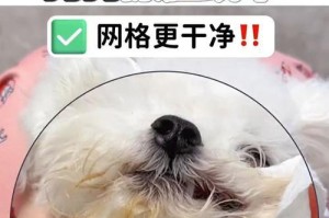 狗嘴上为什么会发白？（探究狗嘴发白的原因和预防方法）