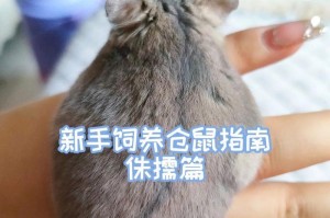 仓鼠侏儒的饮食指南（营养均衡的关键是多样化饮食）