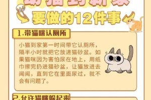 与猫一起睡觉的注意事项（共享夜晚的快乐时光，安心有爱的宠物陪伴）