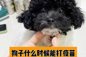 狗狗第二针疫苗（了解狗狗第二针疫苗的重要性及接种要点）