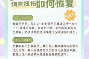 小狗骨折后的康复之路（探索小狗骨折康复的时间和方法）