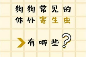 拉布拉多定期驱虫的重要性（保护爱宠健康，拉布拉多如何定期驱虫）
