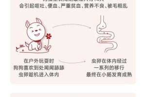 金毛犬的驱虫频率及注意事项（金毛犬体内驱虫的最佳时间和方法，）
