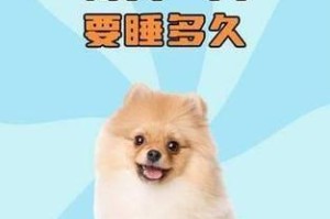 一岁的狗每天需要睡多久？（揭秘狗狗的睡眠需求与保健方法）