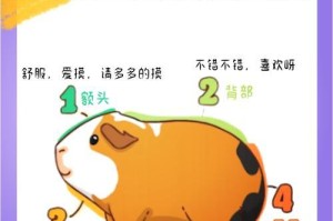 豚鼠到家多久可以洗澡？（了解适合豚鼠洗澡的最佳时间和频率）