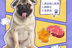 狗狗肾不好的原因及预防措施（了解狗狗肾脏问题，让它们健康快乐）