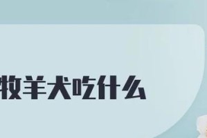 牧羊犬药物饲养指南（保持你的牧羊犬健康的关键）