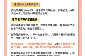 狗狗怀孕的识别与症状（怀孕多久能看出来？常见的症状有哪些？）