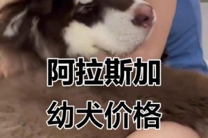 阿拉斯加幼犬的日常饮食管理（了解阿拉斯加幼犬的每日饮食需要，助其健康成长）