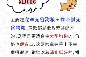金毛怀孕期间驱虫的重要性与注意事项（金毛怀孕多久能进行驱虫？驱虫时需要注意什么？）
