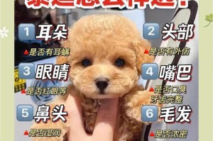 泰迪的标准体重及长不胖的原因（了解泰迪的理想体重，关注体重管理的重要性）