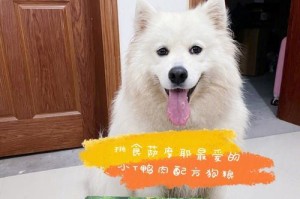 萨摩耶拉肚子食欲不振该如何处理？（萨摩耶拉肚子食欲不振需要及时采取措施，避免恶化情况）