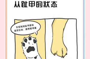 狗狗换牙问题应如何解决？（医生建议和指导来帮助你的狗狗应对双排牙问题）