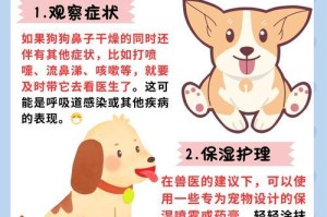 狗狗气管炎的康复时间与治疗方法解析（探究狗狗气管炎的治愈周期及有效的康复策略）