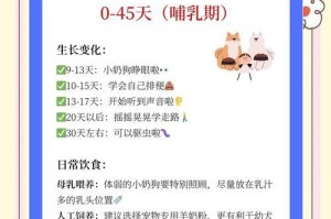 泰迪幼犬的科学喂食方法（全面了解泰迪幼犬的饮食需求和喂食技巧）