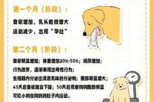 母狗生产过程的时间（母狗分娩时长及相关因素探析）