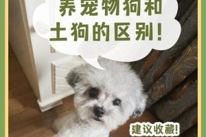 选择最忠诚的狗作为你的伴侣（探寻主人和宠物之间最强烈的情感纽带）