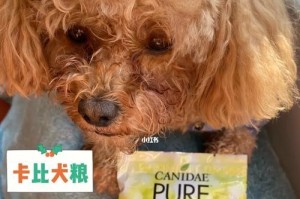 如何解决狗狗挑食问题（以药物喂养狗狗的方法及注意事项）