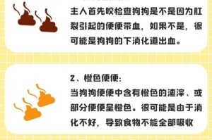 狗的大便健康指南（如何判断狗的大便是否健康）