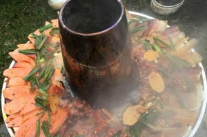 高原鼠兔的饲养方法（打造可爱宠物的全面指南）