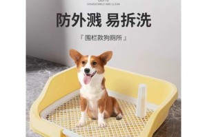 比熊拉尿的颜色（一种独特的健康观察方式）