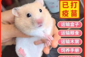 宠物仓鼠的笼子选择与寿命（了解笼子对仓鼠寿命的影响，提供最佳饲养环境）