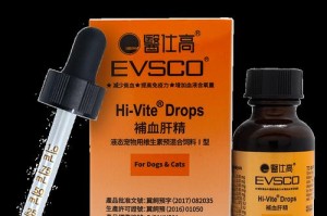 狗细小康复期间的饮食指南