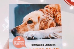 小金毛第一针的重要作用（保护小金毛的健康成长）