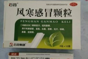 以德牧感冒发烧吃什么药？（用什么药物有效缓解以德牧感冒发烧的症状？）
