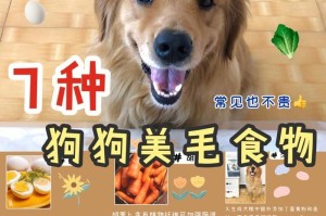 宠物狗的营养需求与饮食推荐（了解狗狗的食物需求，让它健康成长）