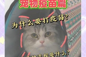 宠物犬常见疫苗解析（了解宠物犬疫苗，为您的宠物健康保驾护航）